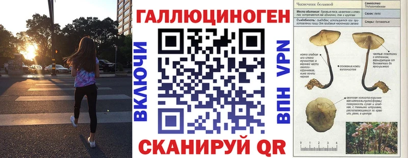 Псилоцибиновые грибы мицелий  Тбилисская 